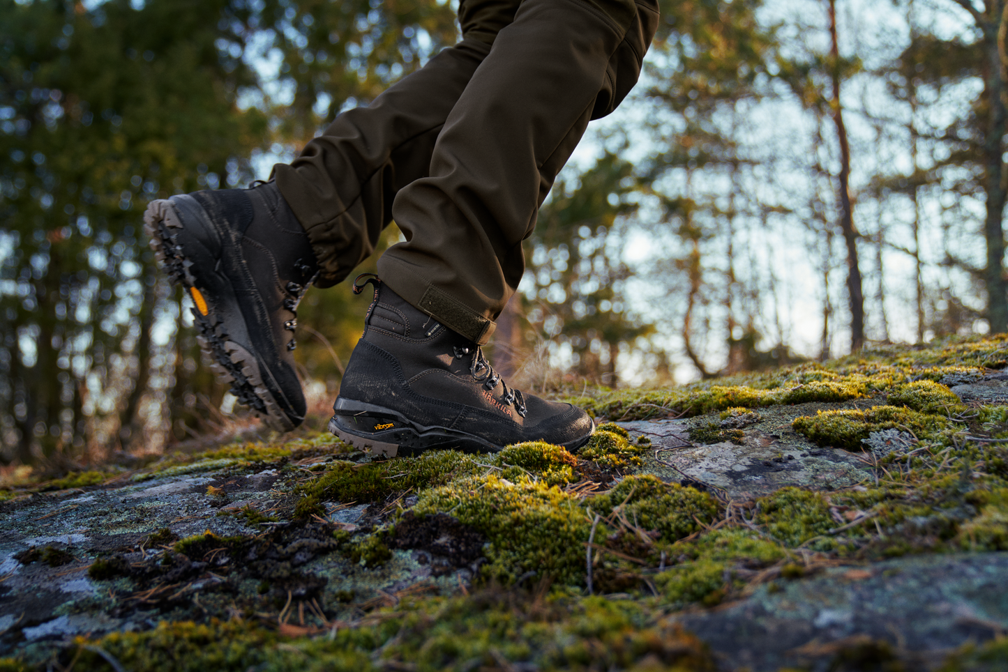 Pro Hunter Light Mid GTX
