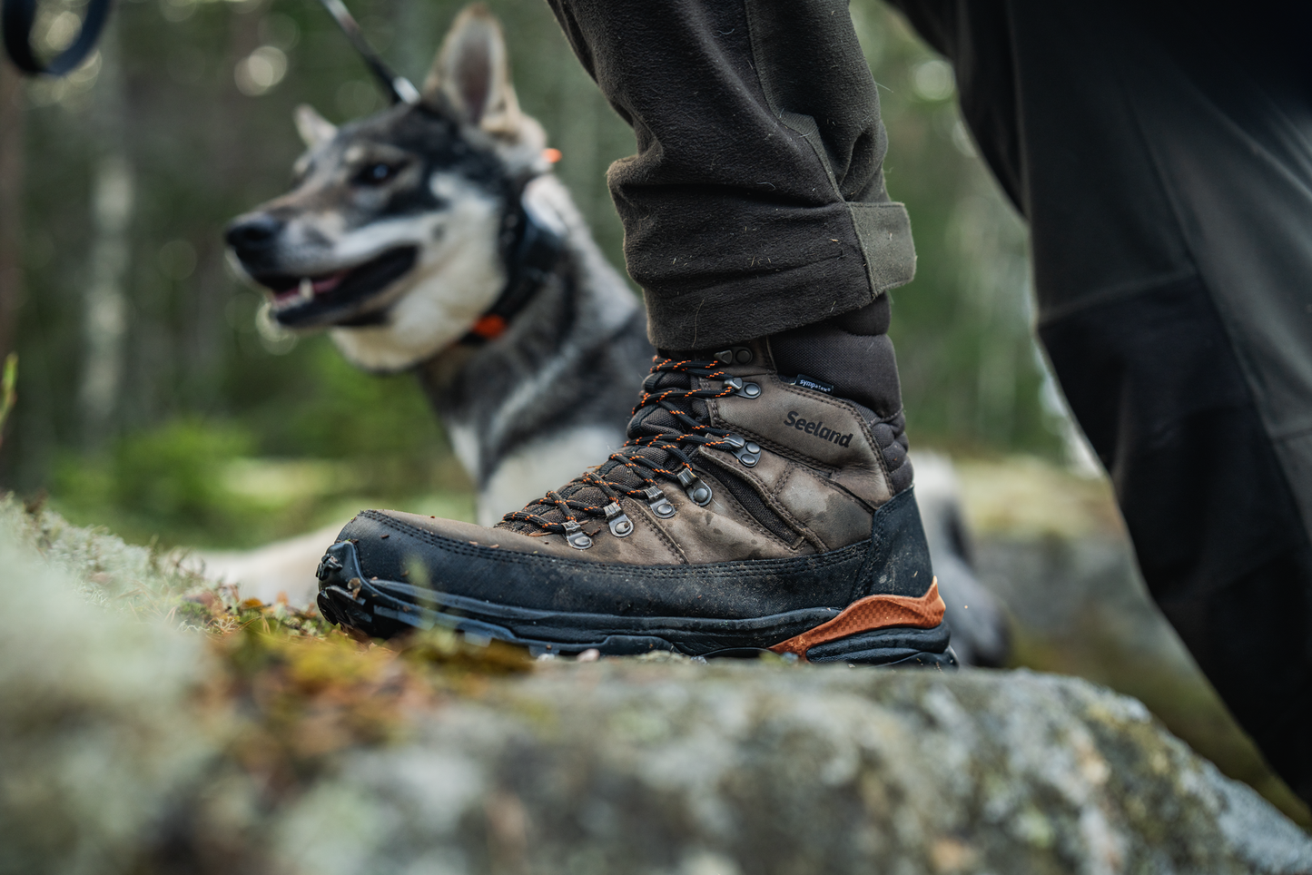Stalking Sneaker GTX