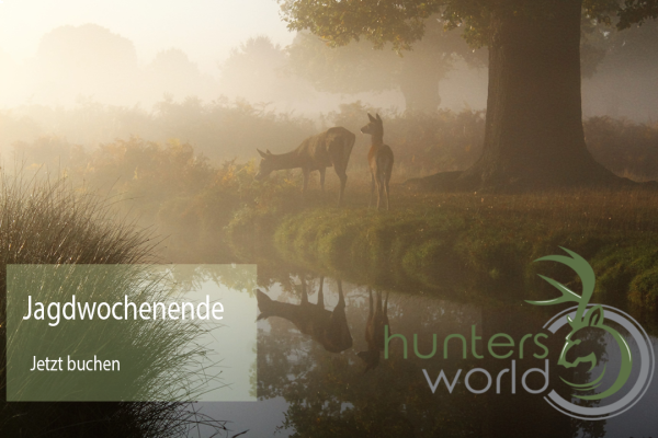Jagdwochenende - Hunters World