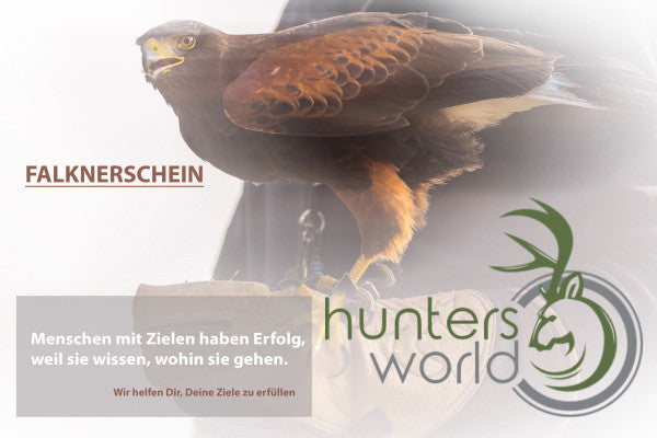 Falknerschein - Hunters World