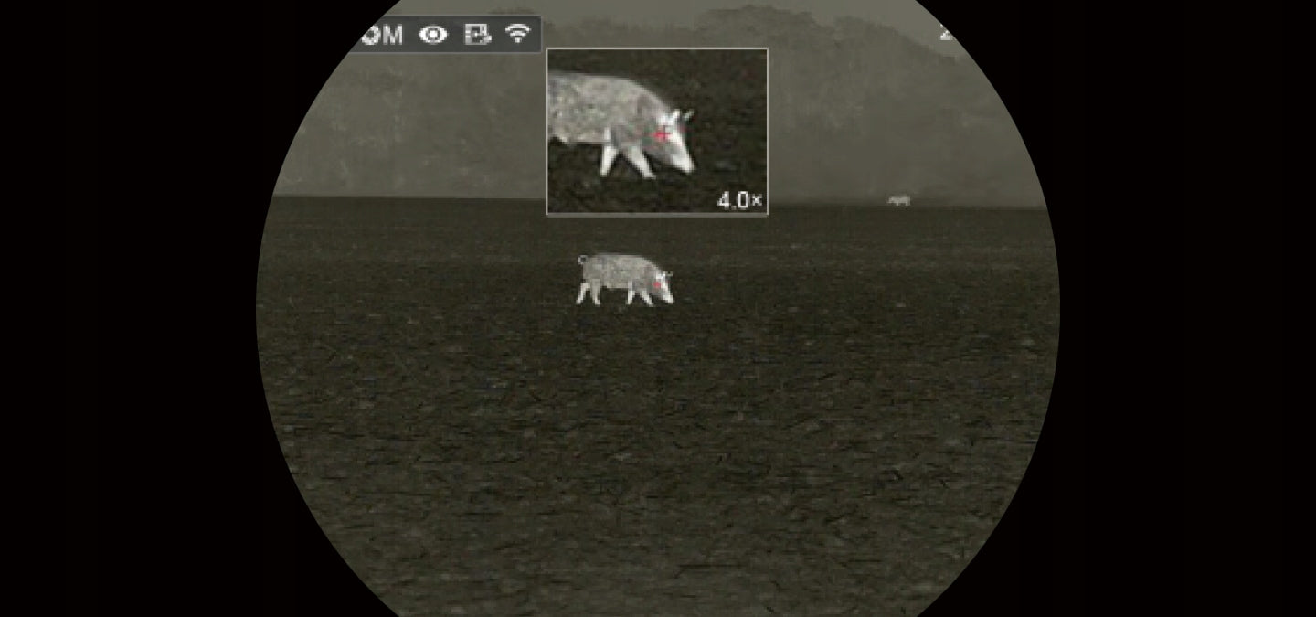 INFIRAY Affo AP09 Wärmebildkamera - Hunters World