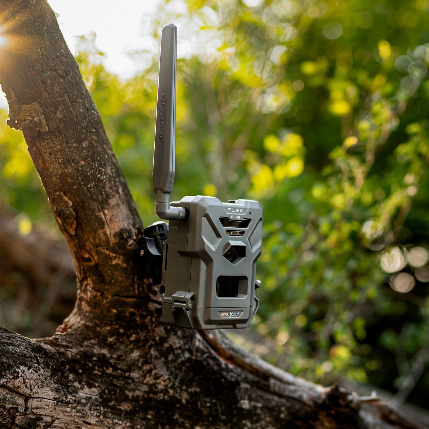 SPYPOINT Flex E-36 Wildkamera - Hunters World