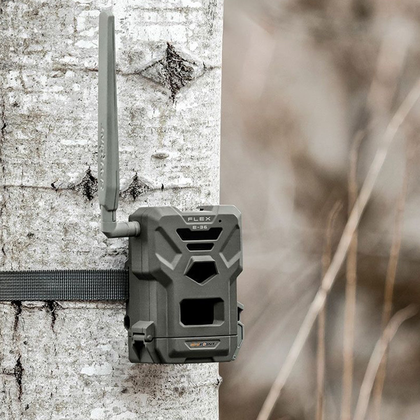 SPYPOINT Flex E-36 Wildkamera - Hunters World