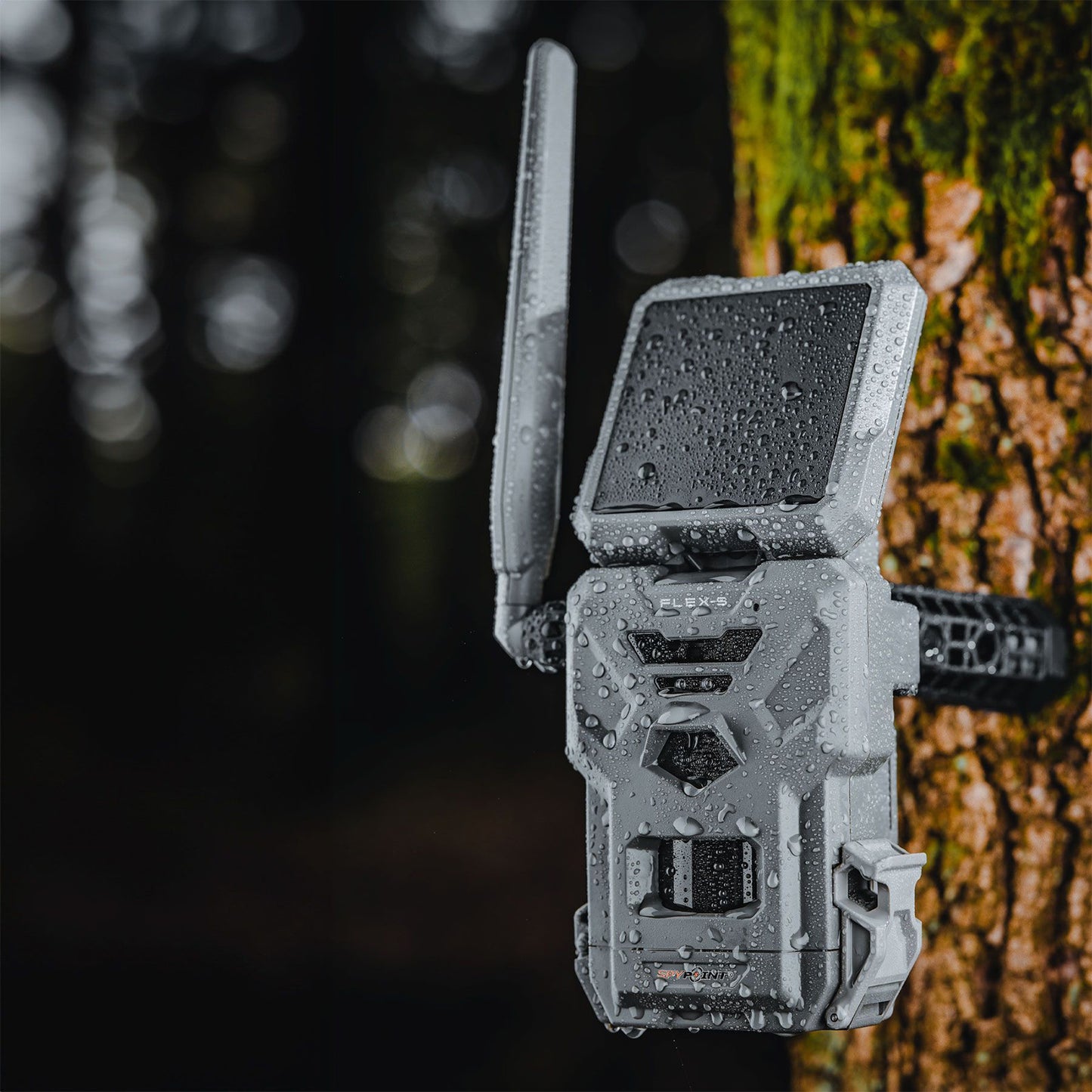 SPYPOINT Flex-S Wildkamera - Hunters World