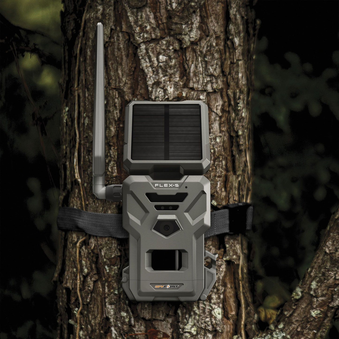 SPYPOINT Flex-S Wildkamera - Hunters World
