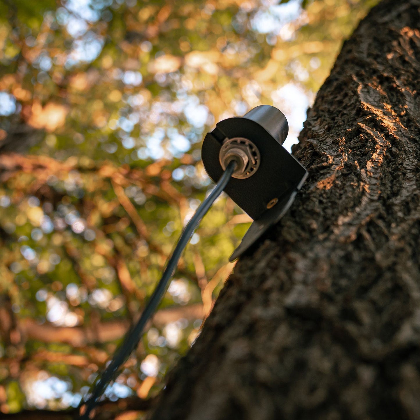 SPYPOINT Mobilfunkantenne - Hunters World