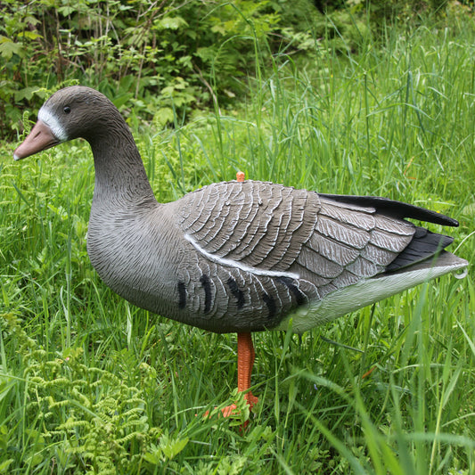 Lockvogel Blässgans - Hunters World 