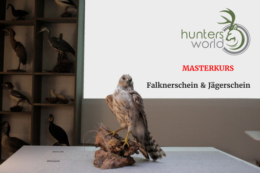 Masterkurs für die Jäger & Falkner-Prüfung - Hunters World 