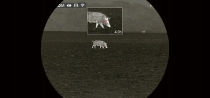 INFIRAY Affo AP09 Wärmebildkamera - Hunters World 