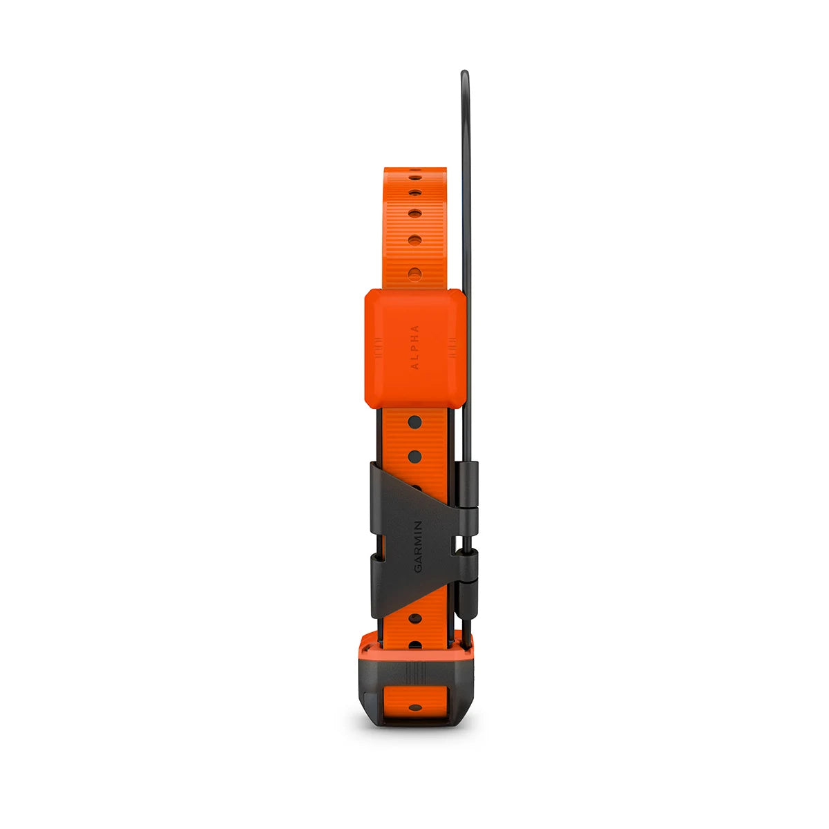 Alpha® T 20 K GPS-Hundehalsband - Hunters World 