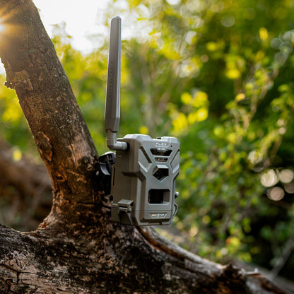 SPYPOINT Flex E-36 Wildkamera - Hunters World 