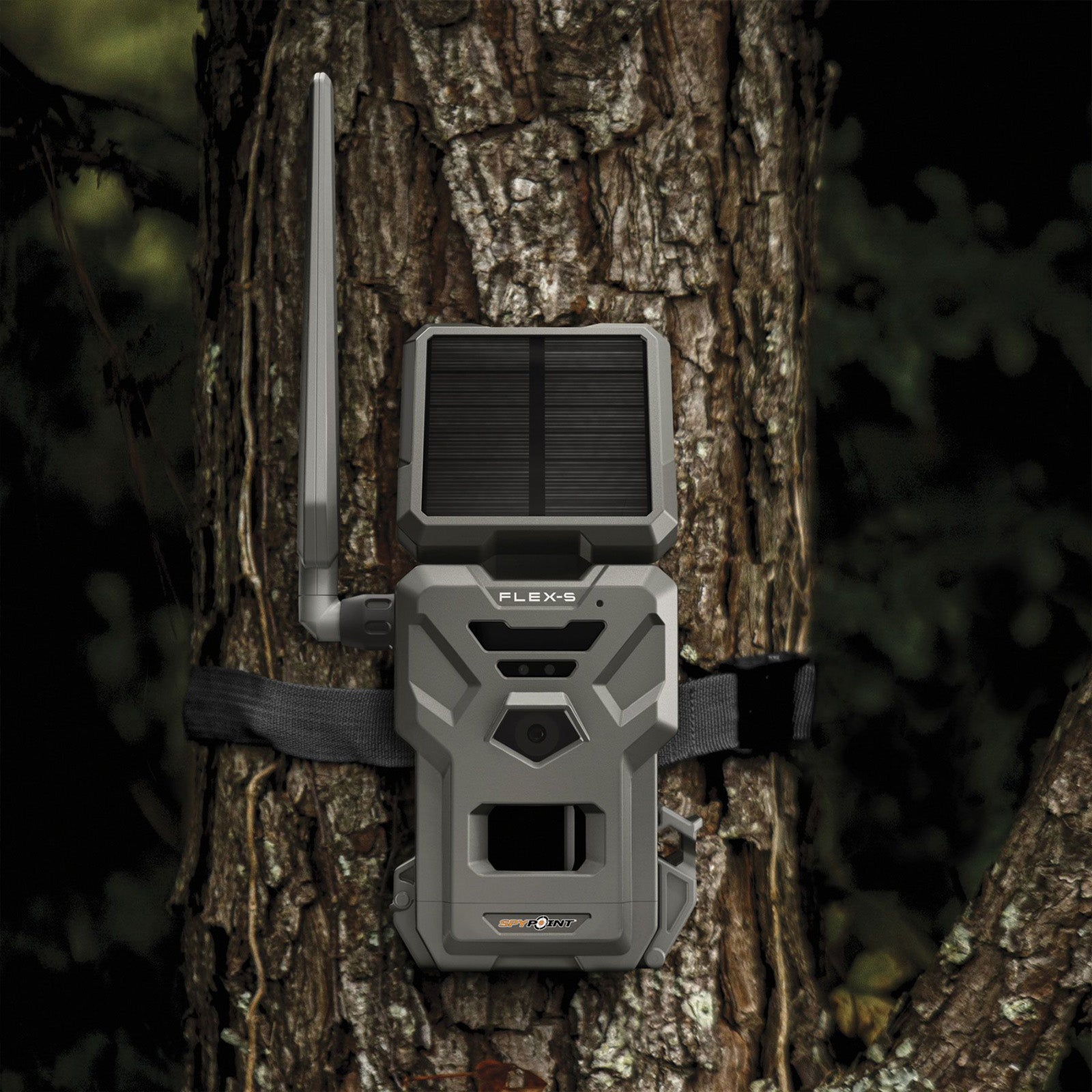 SPYPOINT Flex-S Wildkamera - Hunters World 