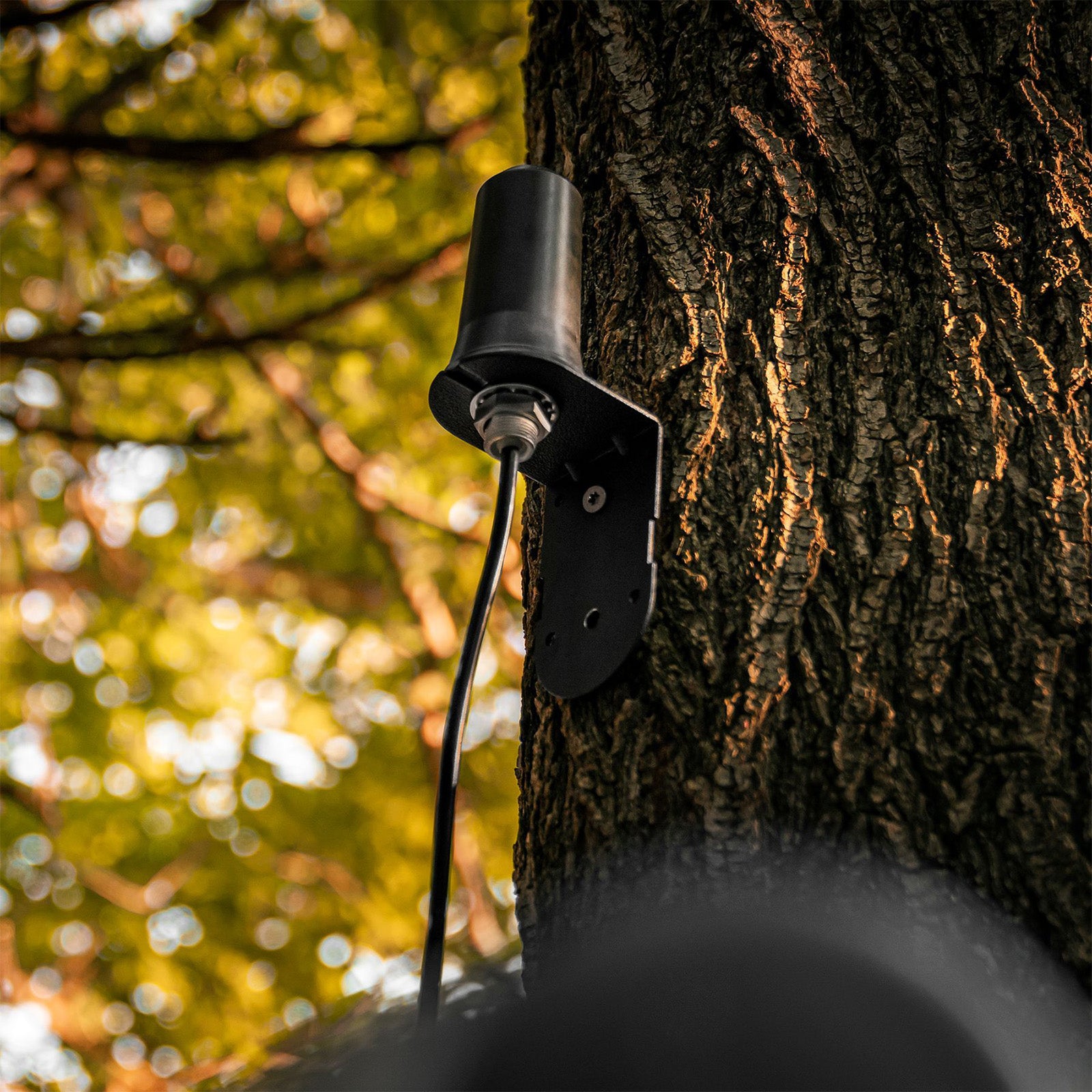 SPYPOINT Mobilfunkantenne - Hunters World 